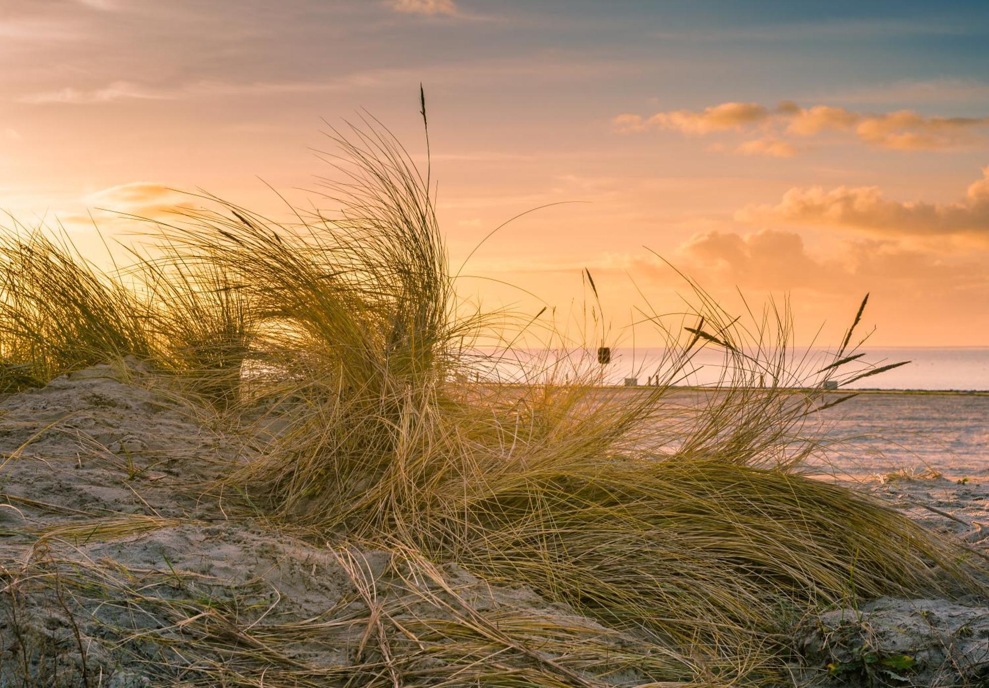 Hotel Regina Maris Norddeich  Eksteriør bilde